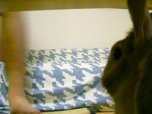 フムフム･･･