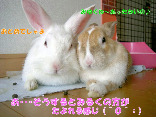 なかよしさんです