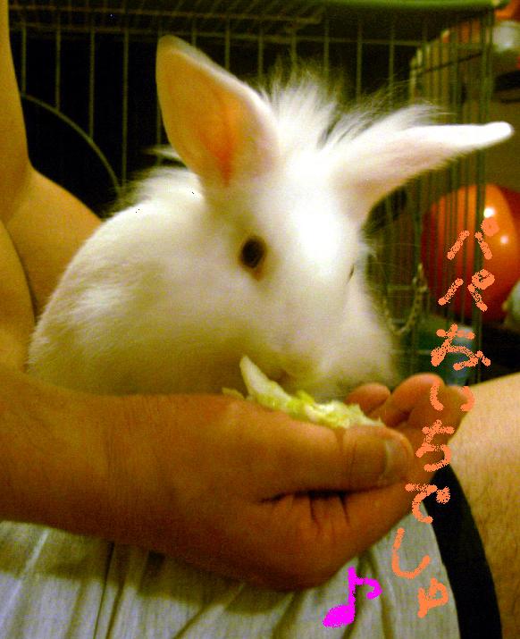 おいち～でしゅ