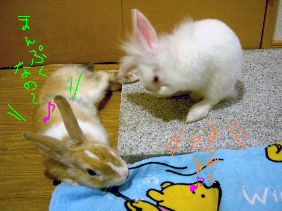 まんぷくでしゅ