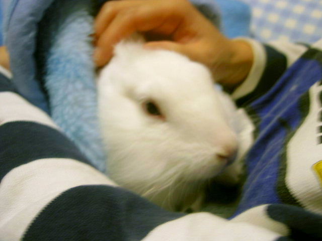 楽しかったね♪