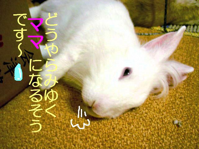 ママ！Σ(*ﾟ◇ﾟ*)