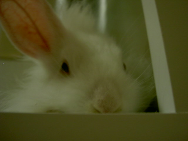 ぎりぎり･･･？