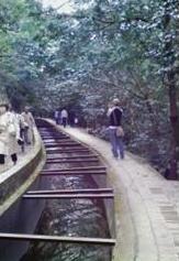 南禅寺10.jpg