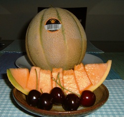 DULCINEA style Cantaloupe.jpg