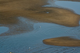 2008,2綾部山梅林 143_2修正後.jpg