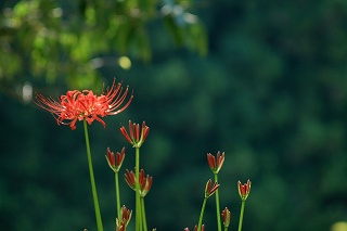 2009,9佛隆寺 113_edited-1.jpg