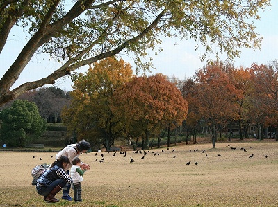 宿題合成写真.jpg