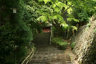 2008,4平等院・勝尾寺 187.jpg