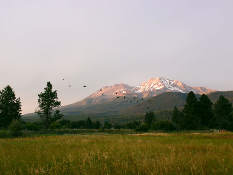 シャスタ山３.jpg