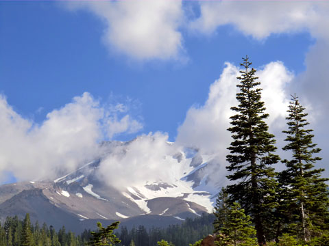 シャスタ山.jpg