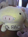 Image002~00.jpg