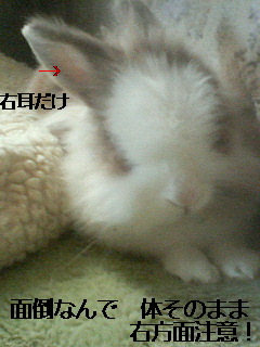 200609200903001.jpg