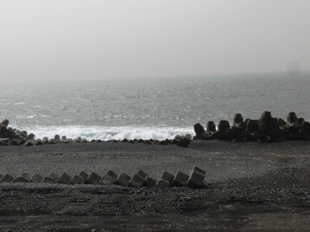 富士田子の浦マラソン2010_0321_103822.JPG