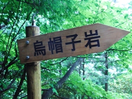 小秀山2010_0815_084557.JPG