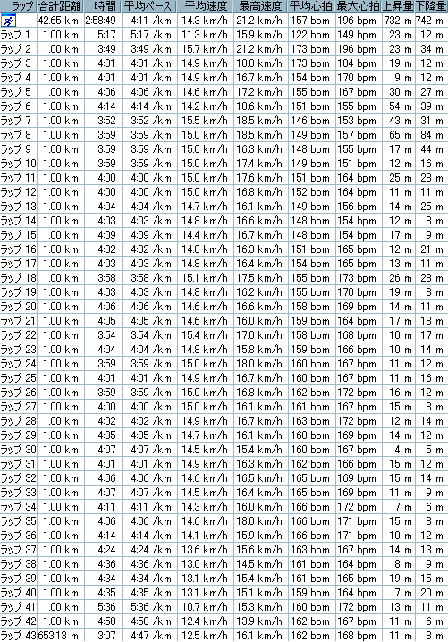 長野マラソン2008_0421ガーミンの表.PNG