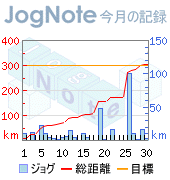 2009_04今月の記録.png