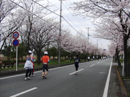 幸手さくらマラソン2010_0404_110216.JPG