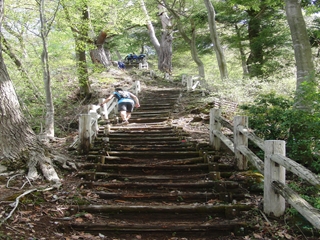 東丹沢宮ヶ瀬トレイルレース2011_0424_110522_R.JPG