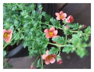 変換 ～ DSCF4341.jpg