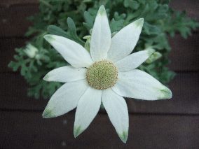 変換 ～ DSCF4281.jpg