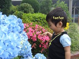 tenten★D1　717.jpg