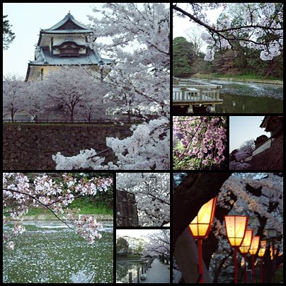 090412夜桜.jpg