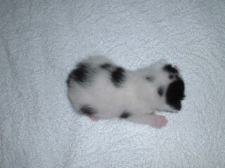 200704173.JPG
