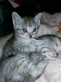 100611042007.jpg
