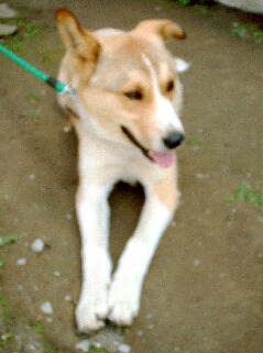 20070420tano.jpg