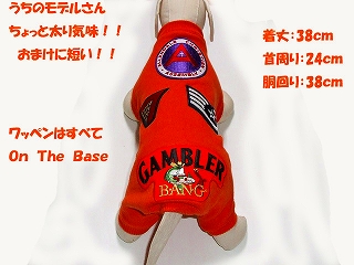 ワンちゃんパイロット