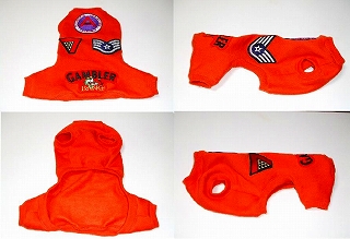 ワンちゃんパイロット2