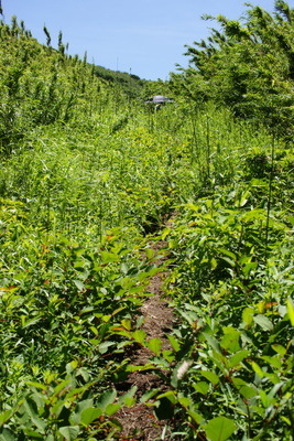 DSC06443.JPG