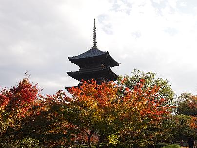 ２０１１年１１月　　京都　東寺の紅葉.JPG