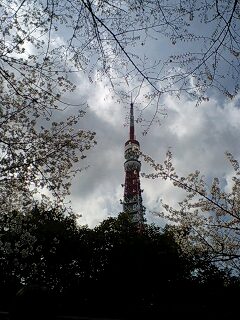 桜と東京タワー.jpg