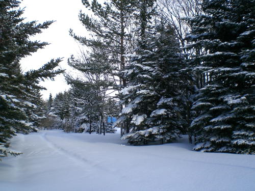 雪景色