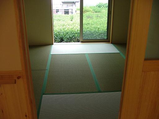 新緑と畳