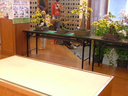 玄関の畳ベンチ