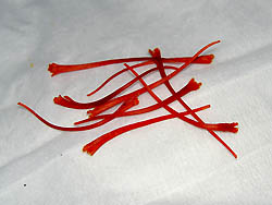 サフランの雌蕊