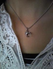 ニュージーランド　キーウィ　シルバー　ネックレス