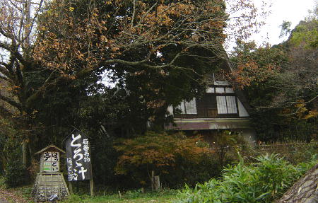 １２月１３日２