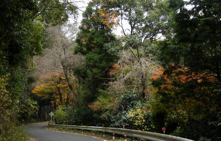 １２月１３日３