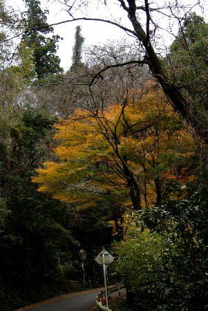 １２月１３日４