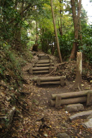 １２月１３日７