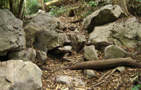 １２月１３日９