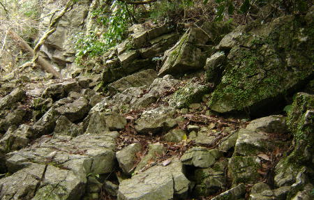 １２月１３日１０