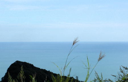 １０月１５日６