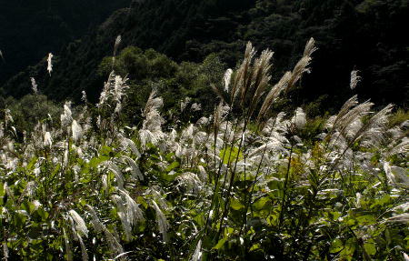 １０月１５日９