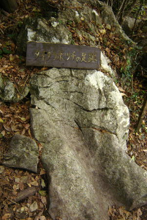 １２月１４日２