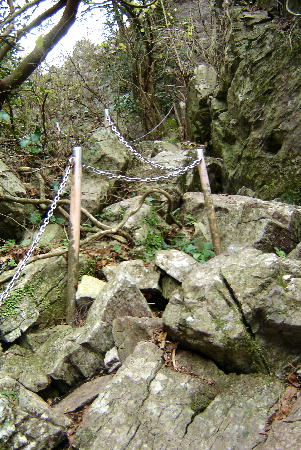 １２月１４日６